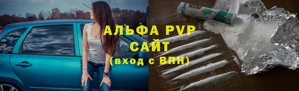индика Бердск